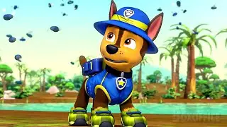 Chase has Jungle Problems!! | PAW Patrol Series | CLIP
