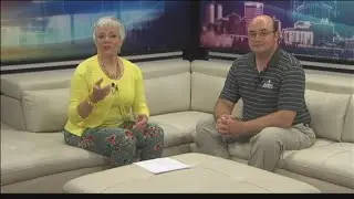 Action Pest Control: Stinging insects