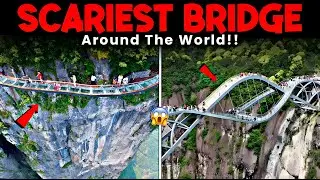 5 Walking Bridges That Will Test Your Fear of Heights