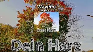 Album Dein Harz - Die Natur ruft