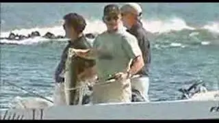 Fahrenheit 9/11 Vacation President Scene