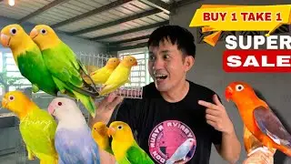 GUSTO MO BANG MAG UPGRADE NG IBON SA MURANG HALAGA? NANDITO NA LAHAT 💯