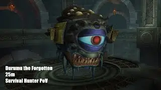 Durumu the Forgotten Heroic 25m | Throne of Thunder | Survival Hunter PoV | Mist of Pandaria Classic