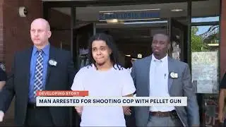 NYPD: Man arrested for shooting officer with pellet gun in Concourse Village