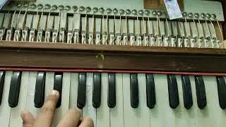 रडू नको बाळा बाई मी पाण्याला जाते... #harmoniumcover #harmoniumsargam #radunakobala 