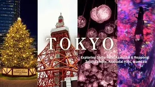 【Tokyo Vlog】Exploring Shiba Park, Azabudai Hills（team Lab Borderless）&Roppongi Area