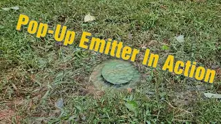 What Does a Pop-Up Emitter In Action Look Like?