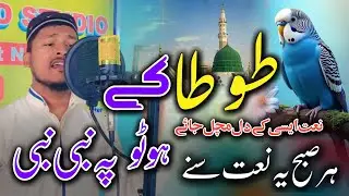 Har Subah Subah Ye Naat Sune - Tota Hoton Pe Nabi Nabi - Beautiful Naat Sharif By Sajjad Al Mubarak