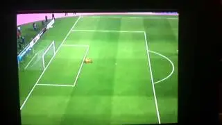 Inform Lukaku goal fifa 14