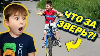 У ДЕНИ НОВЫЙ ТРАНСПОРТ!!! КАК ВАМ?