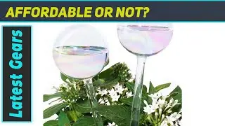 Tomorotec Self-Watering Globes: Easiest Plant Watering Solution?