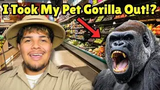 Spending The Day with My Pet GORILLA!