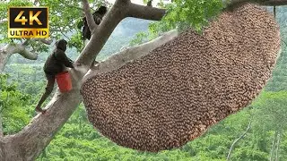 Nature&rsquo;s Creations That Will Blow Your Mind!