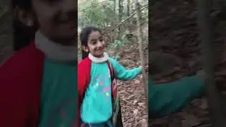Kitna ghna jungle hai #himachal 