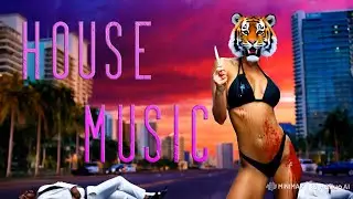 Vocal House Music Pt. 2 | Dirty House | Chillout (ft. Hailuo AI)🐯