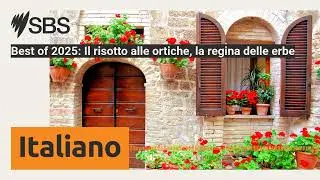 Best of 2025: Il risotto alle ortiche, la regina delle erbe | SBS Italian - SBS in Italiano