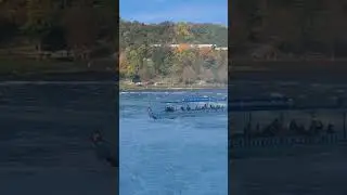 Boating towards the flow of Rheinfalls
