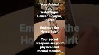 Water Signs Animal Spirit: Horse #watersigns #cancer #scorpio #pisces #tarot #thehealingsoultarot
