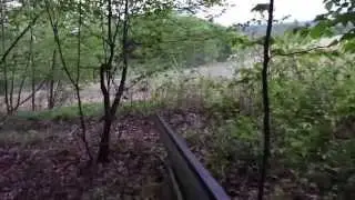 Gobbler Down