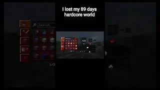 I lost my 89 days hardcore world