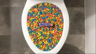 Will it Flush? - Coca Cola, Fanta, Skittles Candy and Snickers