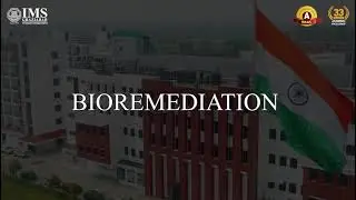 Bioremediation