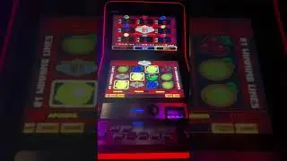 Multiplay 81 - Nice Win (Max Bet)