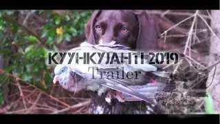 FA 2019 : Kyyhkystys | Trailer