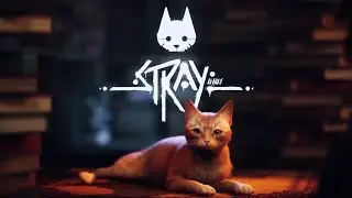 Poor Seamus. Stray [JRGJ Plays] Part 3