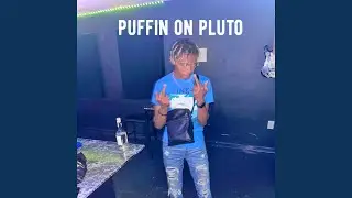 Puffin on Pluto