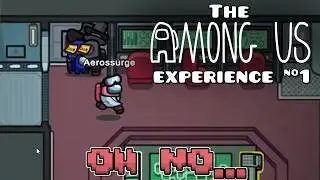 The AMONG US Experience...