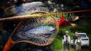 Fly fishing for cherry salmon in Korea