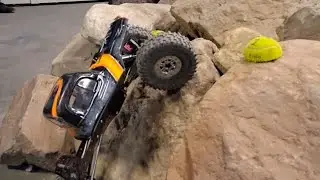 Rock N Rip comps Co