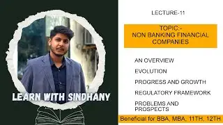 Understanding Non Banking Financial Companies, Evolution, Process, Growth, Regulations, Problems