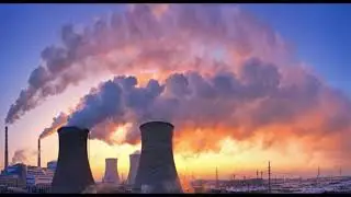 Causes of Species Decline Video