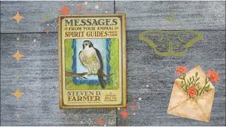 Oracle Cards for Midlife Guidance  Real Talk & Spirit Animal Pull