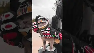 Самый крутой кот-байкер 😺 #шорты