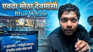 Ratnagiri Marine Fish Museum | Travel Stories | Kiran Paste