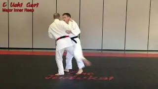 O Uchi Gari (大内刈) - Major Inner Reap