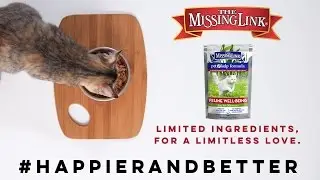 The Missing Link&reg; Pet Kelp&reg; Feline Formula