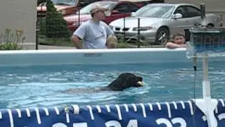 Awesome DockDogs Champ