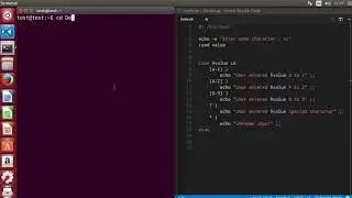 13. Shell Scripting Tutorial for Beginners 13 - The case statement Example