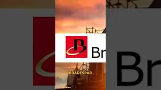 QUANTO RENDE 1000 A&Ccedil;&Otilde;ES DA BRADESPAR (BRAP4)