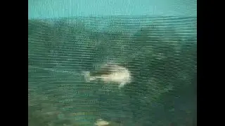 Cabela's Monster Bass (PS2) - Go for the Big Boys
