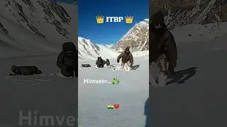 Soldier Life 🪖🇮🇳| SIACHEN BORDER | ITBP | #youtubeshorts #itbp #indianarmy
