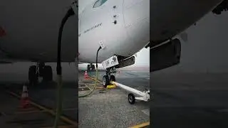 Regular Days in Aviation