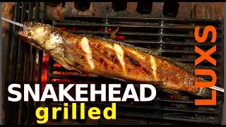Grilled snakehead fish