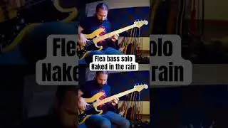 Flea bass solo - Naked in the rain #bass #fender #music #basssolo #jazzbass #funkyrockgrooves #flea