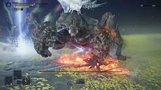 Nightreign: Sentient Pest Solo Win