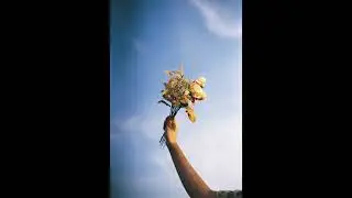 (FREE) Lo-fi type beat - bouquet